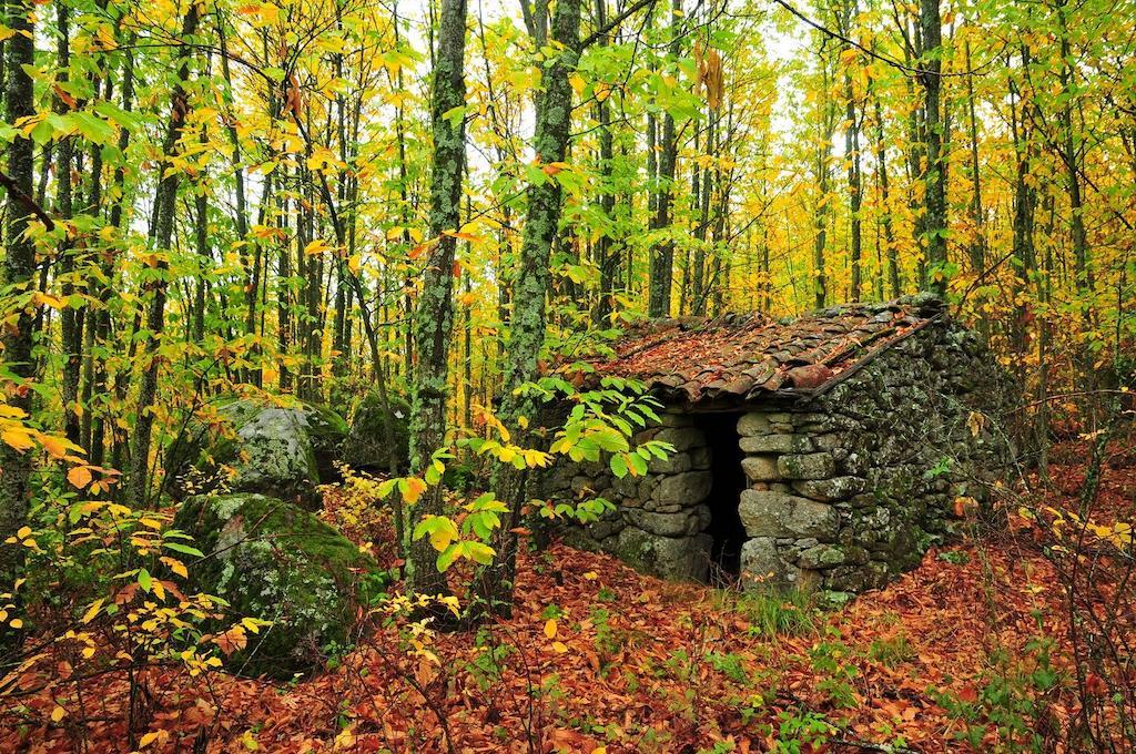 埃尔瓦 Casas Rurales Fuente Del Aliso旅馆 客房 照片