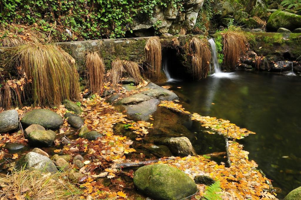 埃尔瓦 Casas Rurales Fuente Del Aliso旅馆 客房 照片