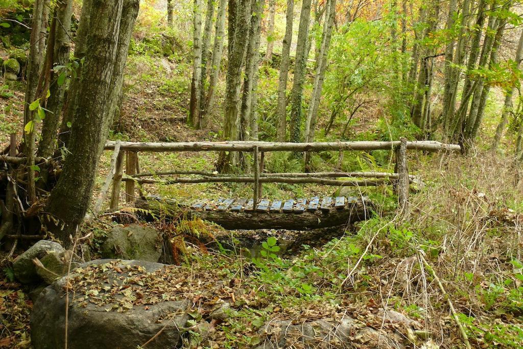 埃尔瓦 Casas Rurales Fuente Del Aliso旅馆 外观 照片