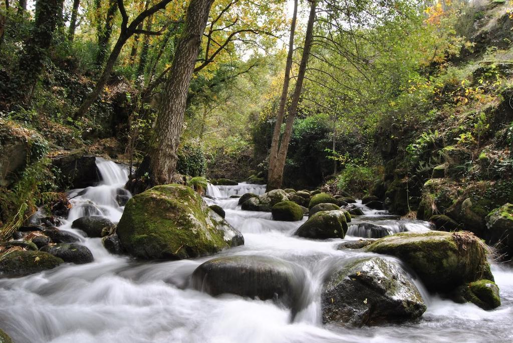 埃尔瓦 Casas Rurales Fuente Del Aliso旅馆 客房 照片
